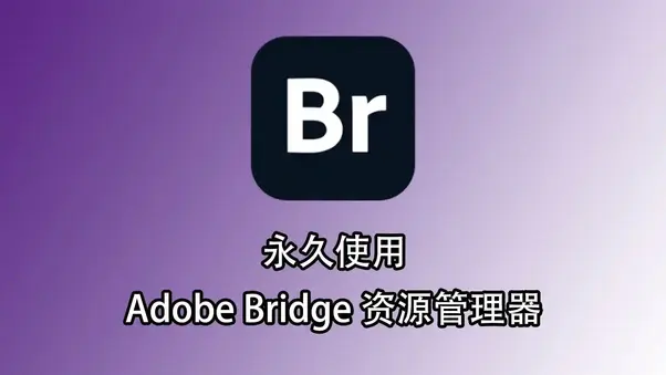 数字资产管理神器！Adobe Bridge 2025全新安装详解+下载地址